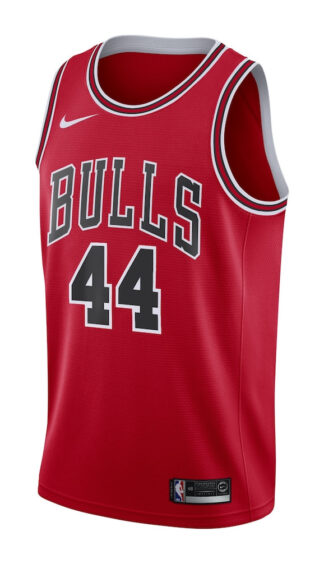 Chicago Bulls Nike [Icon Edition] Jersey - Patrick Williams